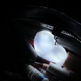 <strong>Ananya S.</strong>